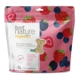 Biscoito Para Cães Be Nature Organnact Morango 150g